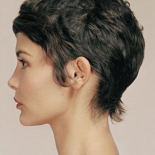 Audrey Tautou Short Haircuts (Photo 4 of 20)