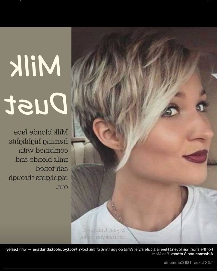 2024 Latest Pixie Bob Hairstyles with Blonde Babylights