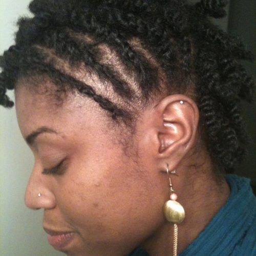 Crossed Twists And Afro Puff Pony (Photo 12 of 15)