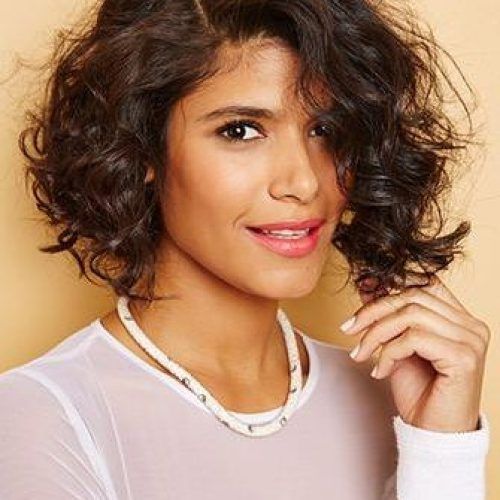 Short Haircuts With Curly Hair (Photo 17 of 20)