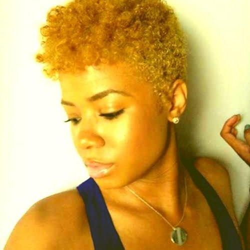 Short Haircuts For Black Women Natural Hair (Photo 18 of 20)