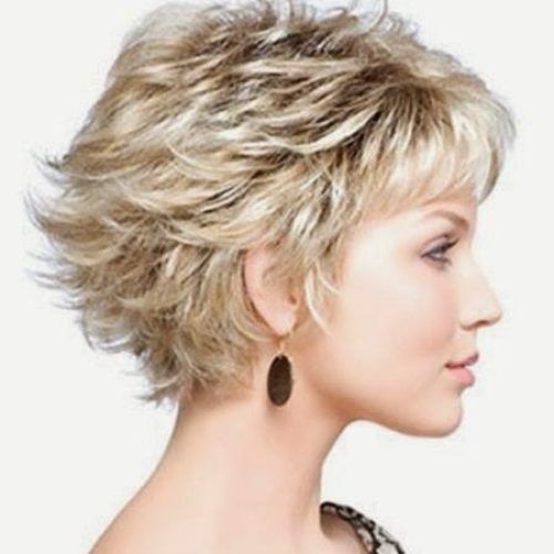 Short Haircuts For Curly Hair And Round Face (Photo 15 of 20)