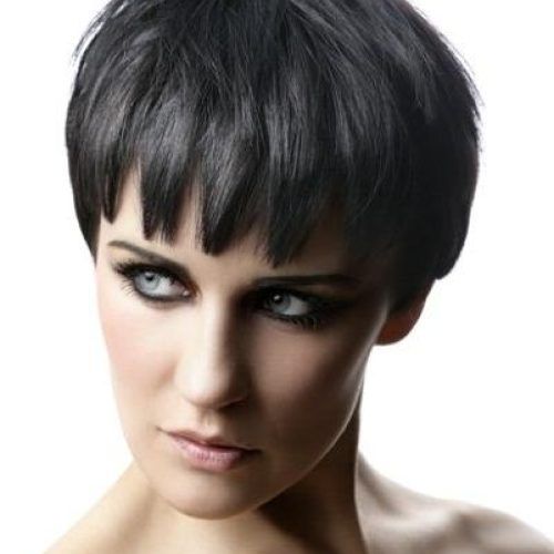 Short Hairstyles Covering Ears (Photo 8 of 20)