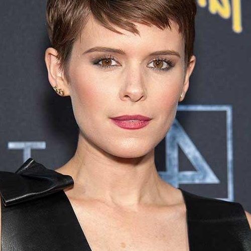 Brown Pixie Haircuts (Photo 12 of 20)