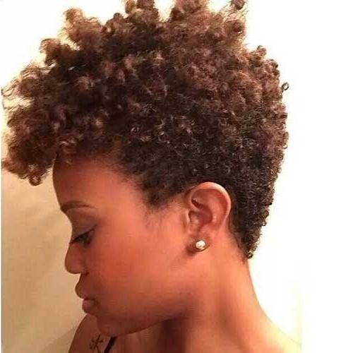 Pixie Haircuts For Natural Hair (Photo 3 of 20)