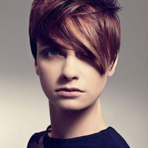 Pixie Haircuts Colors (Photo 6 of 20)