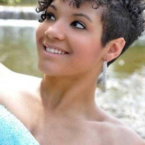 Naturally Curly Pixie Haircuts (Photo 11 of 20)