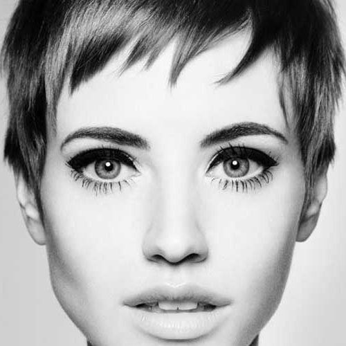 Contemporary Pixie Haircuts (Photo 6 of 15)