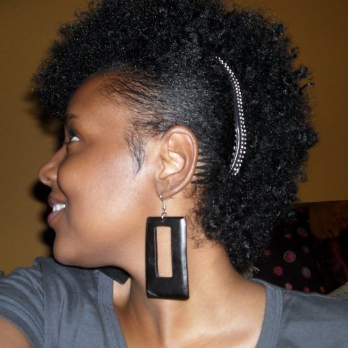 Updos For African American Natural Hair (Photo 13 of 15)