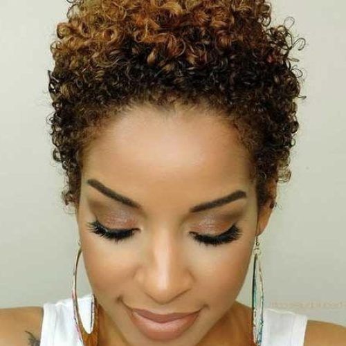 Short Haircuts For Curly Black Hair (Photo 19 of 20)