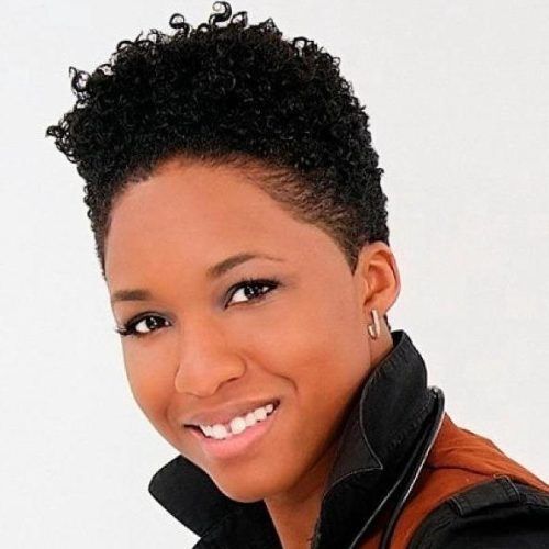 Black Women Natural Short Haircuts (Photo 13 of 20)