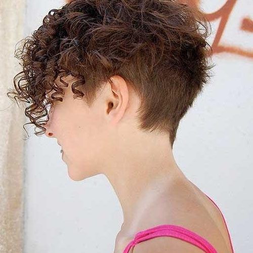 Short Haircuts For Thick Curly Frizzy Hair (Photo 12 of 20)
