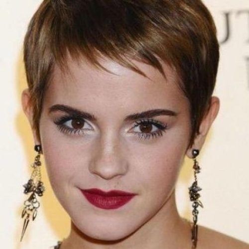 Pixie Haircuts For Fine Hair (Photo 19 of 20)