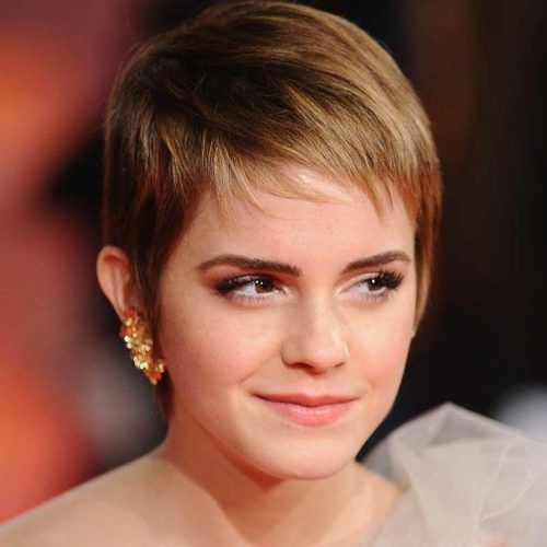 Short Hairstyles For Thinning Fine Hair (Photo 13 of 20)
