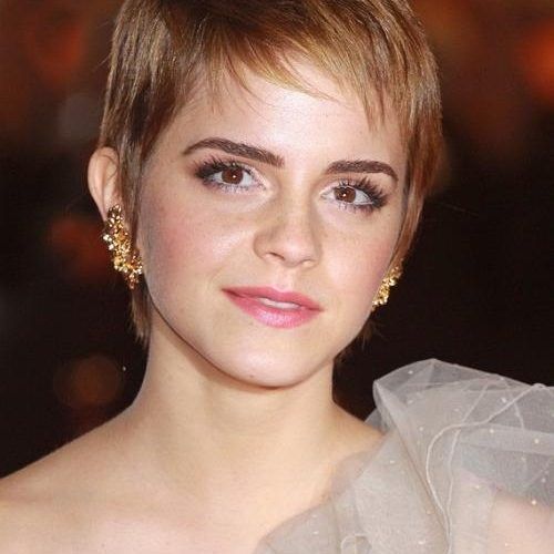 Short Haircuts For Thin Hair And Oval Face (Photo 13 of 20)