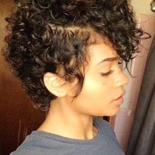 Naturally Curly Pixie Haircuts (Photo 15 of 20)