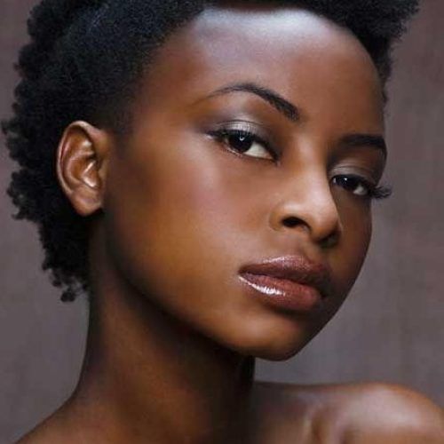 Short Haircuts For Natural African American Hair (Photo 20 of 20)