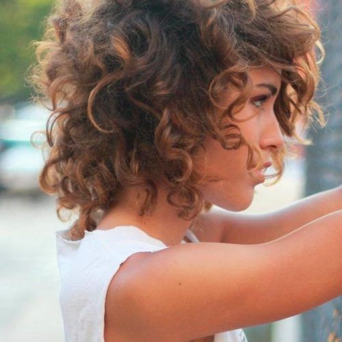 Curly Short Hairstyles For Oval Faces (Photo 18 of 20)