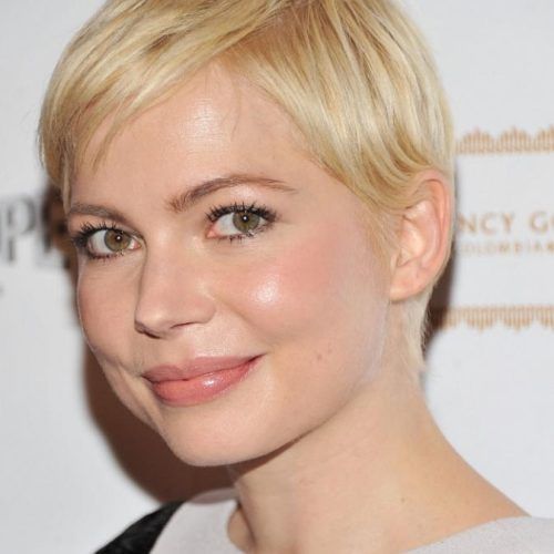 Short Hairstyles For Thin Fine Hair And Round Face (Photo 17 of 20)