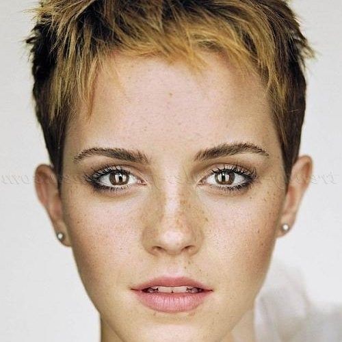 Messy Short Haircuts For Women (Photo 9 of 20)