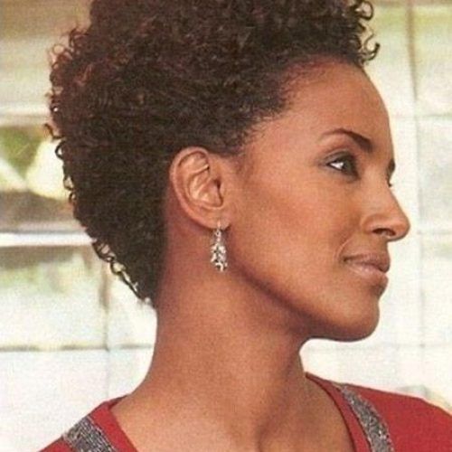Short Haircuts For Naturally Curly Black Hair (Photo 8 of 20)