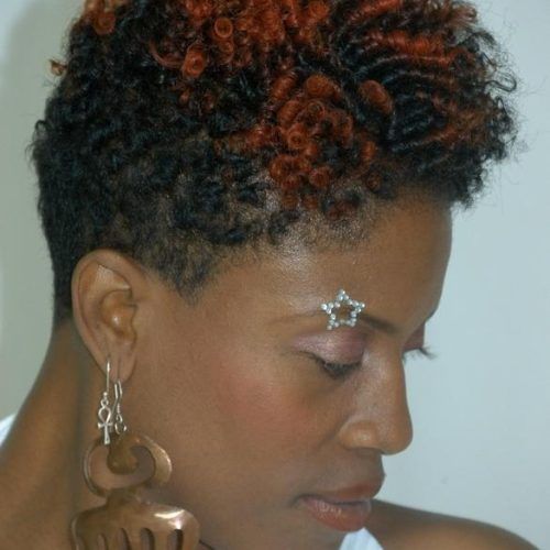 Short Hairstyles For Natural Black Hair (Photo 17 of 20)
