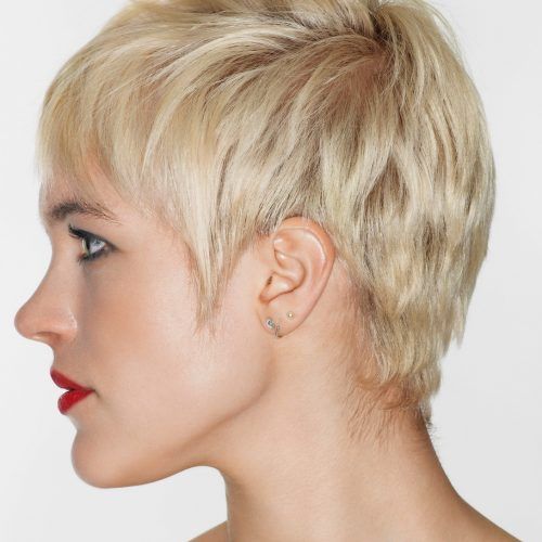 Layered Pixie Hairstyles With Nape Undercut (Photo 14 of 20)