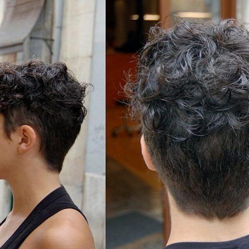 Short Hairstyles For Very Curly Hair (Photo 20 of 20)