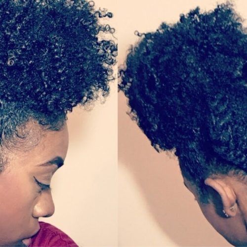 Braided Natural Hairstyles For Short Hair (Photo 13 of 15)