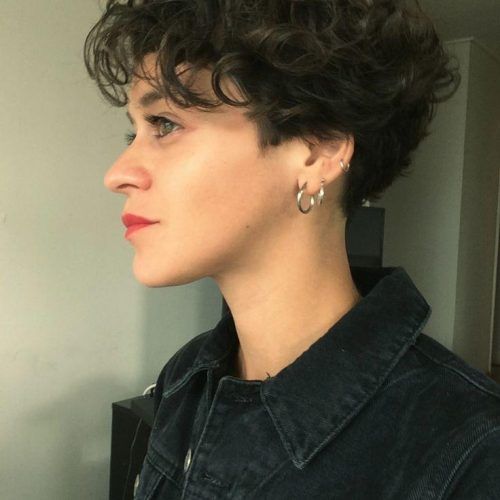 Curly Short Pixie Haircuts (Photo 12 of 20)