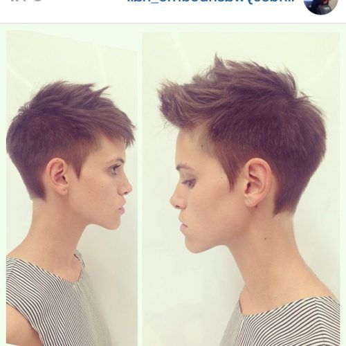 Androgynous Pixie Haircuts (Photo 13 of 20)