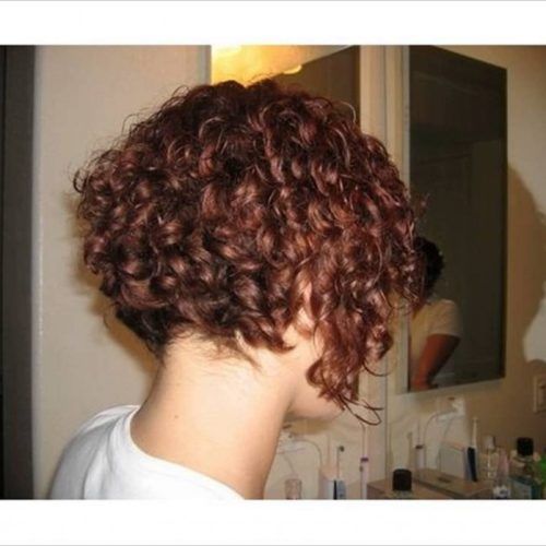 Stacked Curly Bob Hairstyles (Photo 20 of 20)
