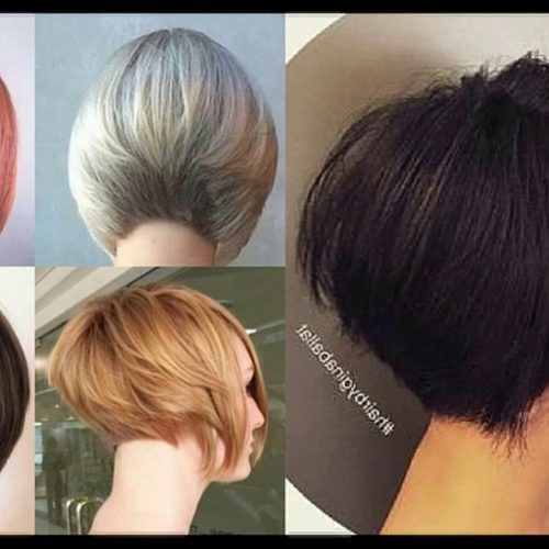 Rounded Bob Hairstyles With Stacked Nape (Photo 8 of 20)