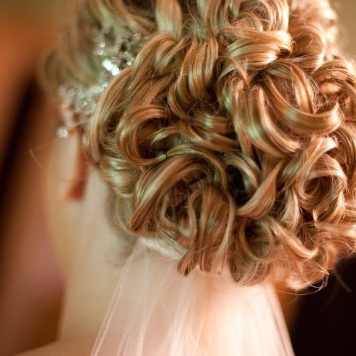 Wedding Hairstyles With Veil Underneath (Photo 3 of 15)