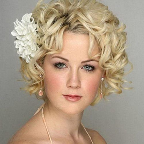 Cute Wedding Hairstyles For Short Curly Hair (Photo 9 of 15)