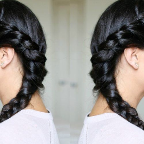 Side Rope Braid Hairstyles For Long Hair (Photo 6 of 20)