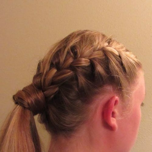 Long Ponytails With Side Braid (Photo 14 of 20)
