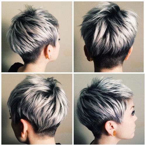 Reverse Gray Ombre Pixie Hairstyles For Short Hair (Photo 2 of 20)