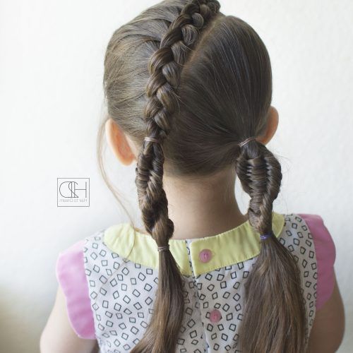 Pony And Dutch Braid Combo Hairstyles (Photo 14 of 20)