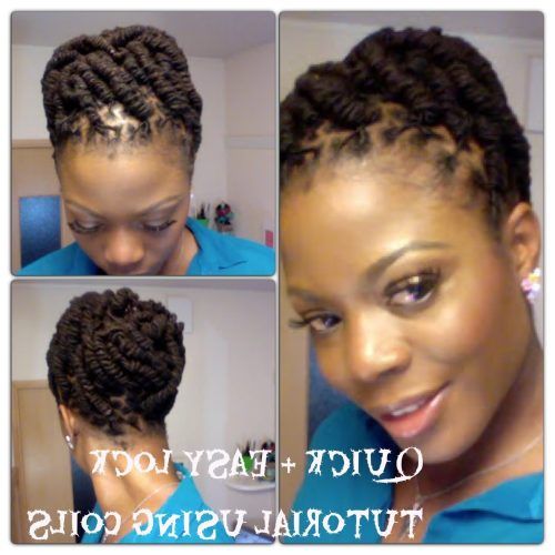 Updo Hairstyles For Locks (Photo 3 of 15)