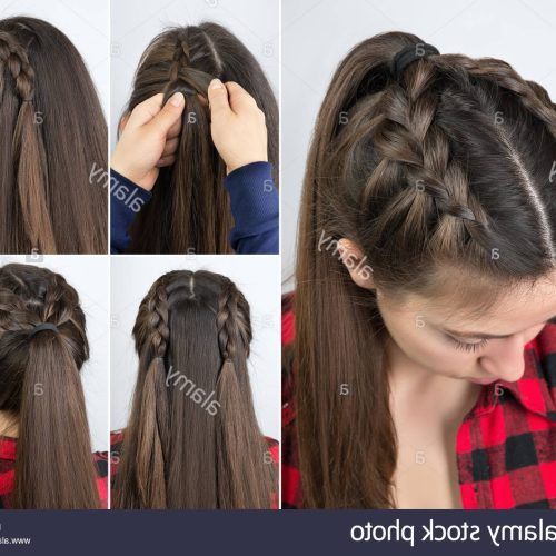 Simple Braided Hairstyles (Photo 13 of 15)
