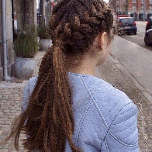 Braids Hairstyles For Long Thick Hair (Photo 5 of 15)