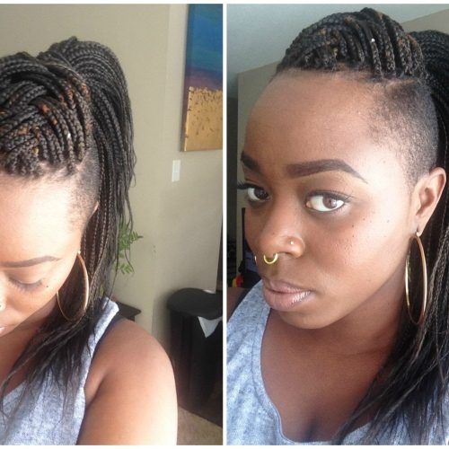 Braided Hairstyles With Undercut (Photo 1 of 15)