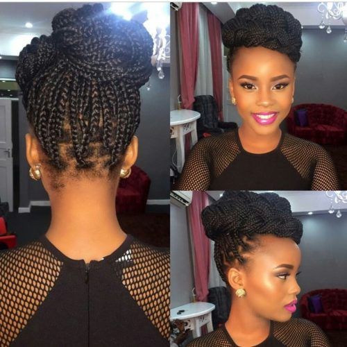Updo Hairstyles With Braiding Hair (Photo 12 of 15)