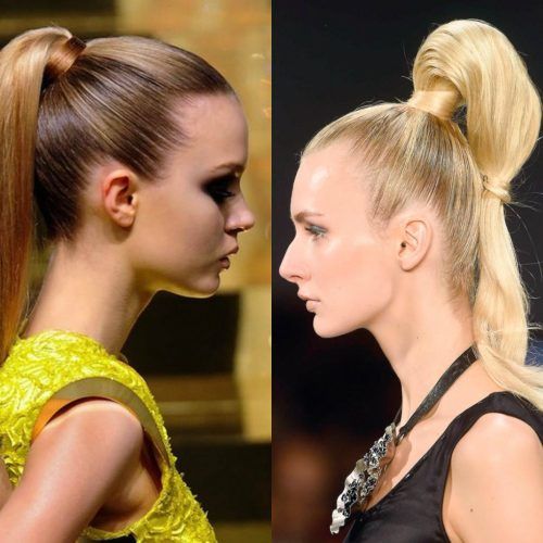 Sky High Pony Updo Hairstyles (Photo 3 of 20)