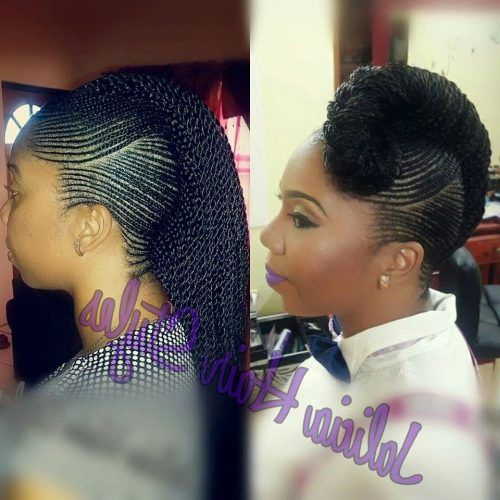Thin Cornrows Hairstyles (Photo 15 of 15)