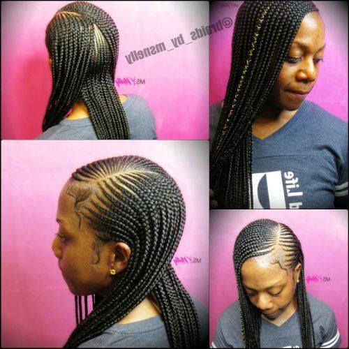 Straight Mini Braids With Ombre (Photo 2 of 20)