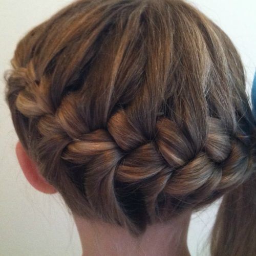 Asymmetrical French Braided Hairstyles (Photo 20 of 20)