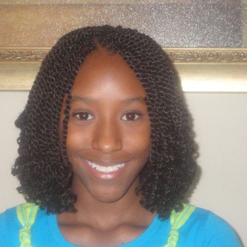 Twists And Braid Hairstyles (Photo 20 of 20)