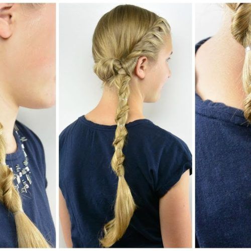 Side Swept Carousel Braid Hairstyles (Photo 16 of 20)